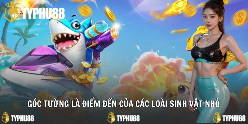Góc tường là điểm đến của các loài sinh vật nhỏ