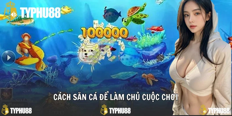 Cách săn cá để làm chủ cuộc chơi