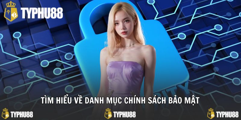 Giới thiệu chi tiết về danh mục chính sách bảo mật