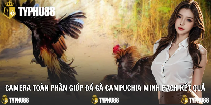 Camera toàn phần giúp đá gà Campuchia minh bạch kết quả