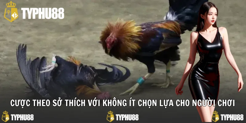 Cược theo sở thích với không ít chọn lựa cho người chơi