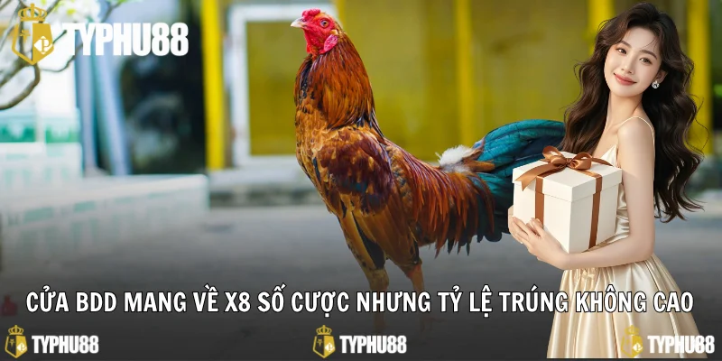 Cửa BDD mang về x8 số cược nhưng tỷ lệ trúng không cao
