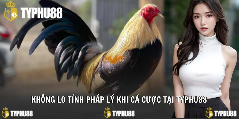 Không lo tính pháp lý khi cá cược tại Typhu88