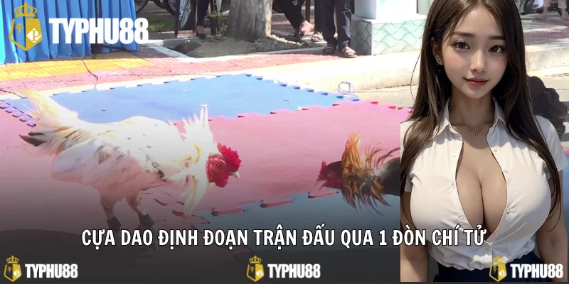 Cựa dao định đoạn trận đấu qua 1 đòn chí tử